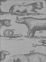 Ark Cloud Wallpaper AMW1000111 by Andrew Martin Wallpaper for sale at Wallpapers To Go