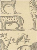 Ark Parchment Wallpaper AMW100011611 by Andrew Martin Wallpaper for sale at Wallpapers To Go