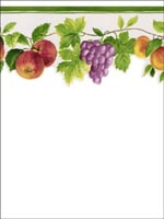 Fruit Border KT77917DC by Norwall Wallpaper for sale at Wallpapers To Go