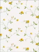 Sunflowers Wallpaper KV27408 by Norwall Wallpaper for sale at Wallpapers To Go