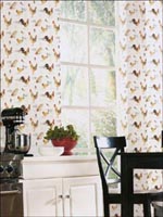 Room22023 by Norwall Wallpaper for sale at Wallpapers To Go