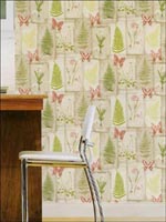 Room22027 by Norwall Wallpaper for sale at Wallpapers To Go