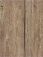 Timber Oak Wallpaper AMW1001416 by Andrew Martin Wallpaper for sale at Wallpapers To Go