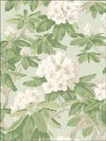 Bourlie Duck Egg Wallpaper 994022 by Cole and Son Wallpaper for sale at Wallpapers To Go