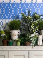 Room23698 by Cole and Son Wallpaper for sale at Wallpapers To Go