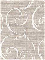 Notting Hill Scroll Wallpaper LD82008 by Seabrook Wallpaper for sale at Wallpapers To Go