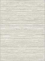 Grasscloth 2 Wallpaper JC21000 by Wallquest Wallpaper for sale at Wallpapers To Go