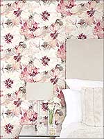 Room24042 by Seabrook Wallpaper for sale at Wallpapers To Go
