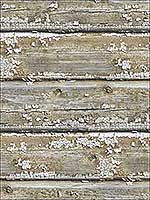 Chipped Wood Wallpaper IR50205 by Pelican Prints Wallpaper for sale at Wallpapers To Go
