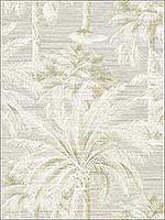 Dream Of Palm Trees Sand Texture Wallpaper PS40005 by Kenneth James Wallpaper for sale at Wallpapers To Go