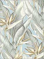 Arcadia Blueberry Banana Leaf Wallpaper PS40202 by Kenneth James Wallpaper for sale at Wallpapers To Go