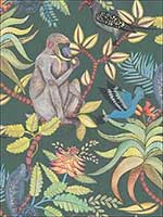 Savuti Dark Petrol Multi Wallpaper 1091006 by Cole and Son Wallpaper for sale at Wallpapers To Go