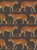 Leopard Walk Charcoal And Orange Wallpaper 1092008 by Cole and Son Wallpaper for sale at Wallpapers To Go