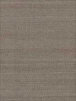 Fine Sisal Nickel Wallpaper SC0007WP88341 by Scalamandre Wallpaper for sale at Wallpapers To Go