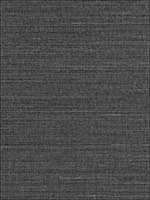 Fine Sisal Steel Wallpaper SC0009WP88341 by Scalamandre Wallpaper for sale at Wallpapers To Go