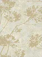 Oxford Wallpaper CR77905 by Carl Robinson Wallpaper for sale at Wallpapers To Go