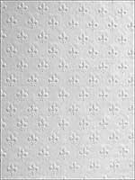 Tudor Paintable Anaglytpa Original Wallpaper 437RD392 by Brewster Wallpaper for sale at Wallpapers To Go