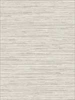 Grasscloth Wallpaper NT33708 by Patton Norwall Wallpaper for sale at Wallpapers To Go