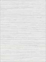 Grasscloth Wallpaper WF36302 by Patton Norwall Wallpaper for sale at Wallpapers To Go