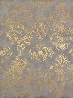 Stargazer Khaki Gold Wallpaper NW3564 by Antonina Vella Wallpaper for sale at Wallpapers To Go