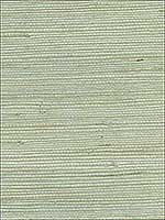 Amur Mint Grasscloth Wallpaper 273265609 by Kenneth James Wallpaper for sale at Wallpapers To Go