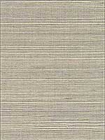 Quing Taupe Sisal Grasscloth Wallpaper 273280074 by Kenneth James Wallpaper for sale at Wallpapers To Go
