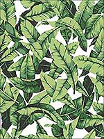 Palm Leaf Peel And Stick Wallpaper RMK11045WP by York Wallpaper for sale at Wallpapers To Go