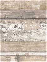 Beachwood Brown Beige Wallpaper FH37556 by Patton Norwall Wallpaper for sale at Wallpapers To Go