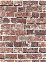Distressed Red Brick Wallpaper NW31700 by Nextwall Wallpaper for sale at Wallpapers To Go