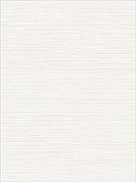Vinyl Grasscloth Ivory Wallpaper AW74503 by Collins and Company Wallpaper for sale at Wallpapers To Go