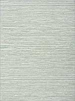 Kendari Grass Robins Egg Wallpaper T303 by Thibaut Wallpaper for sale at Wallpapers To Go