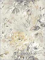 Watercolor Flower Grey Cream Soft Grey Wallpaper RM50203 by Casa Mia Wallpaper for sale at Wallpapers To Go