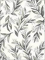 Olive Branch Charcoal Peel and Stick Wallpaper PSW1003RL by Magnolia Home Wallpaper by Joanna Gaines for sale at Wallpapers To Go