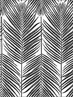 Paradise Palm Ebony Wallpaper NW33000 by NextWall Wallpaper for sale at Wallpapers To Go