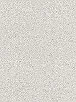 Mica Effect Soft Grey Wallpaper WF20503 by Casa Mia Wallpaper for sale at Wallpapers To Go