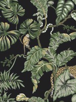 Jungle Cat Black Wallpaper HO2143 by Ronald Redding Wallpaper for sale at Wallpapers To Go
