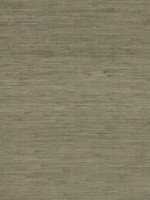 Threaded Jute Green Wallpaper OG0519 by Ronald Redding Wallpaper for sale at Wallpapers To Go