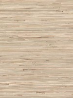 Sogen Natural Grasscloth Wallpaper 40180042 by Advantage Wallpaper for sale at Wallpapers To Go