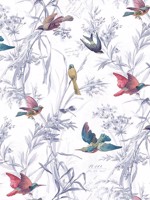 Birds of Paradise Mixed Berry Wallpaper FJ40911 by Mayflower Wallpaper for sale at Wallpapers To Go