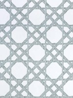 Cyrus Cane Sheer Emerald Fabric FWW7136 by Thibaut Fabrics for sale at Wallpapers To Go