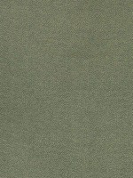 Nala Emerald Fabric W74078 by Thibaut Fabrics for sale at Wallpapers To Go