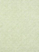 Laos Spring Green Fabric F972615 by Thibaut Fabrics for sale at Wallpapers To Go