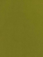 Club Velvet Citron Fabric W7260 by Thibaut Fabrics for sale at Wallpapers To Go