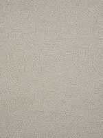 Kali Flax Fabric W80516 by Thibaut Fabrics for sale at Wallpapers To Go