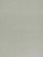 Bronwyn Stone Fabric W80684 by Thibaut Fabrics for sale at Wallpapers To Go