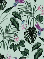 Hummingbird Mint Wallpaper WLD53115W by OhPopsi Wallpaper for sale at Wallpapers To Go