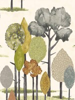 Cypress Olive Tall Trees Wallpaper CEP50135W by OhPopsi Wallpaper for sale at Wallpapers To Go