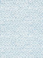 Maluku Light Blue Fabric WTG-247896 by Thibaut Fabrics for sale at Wallpapers To Go