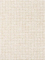 Remy Dot Caramel Fabric WTG-255105 by Thibaut Fabrics for sale at Wallpapers To Go