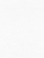 Petra Bleach White Fabric WTG-255182 by Thibaut Fabrics for sale at Wallpapers To Go